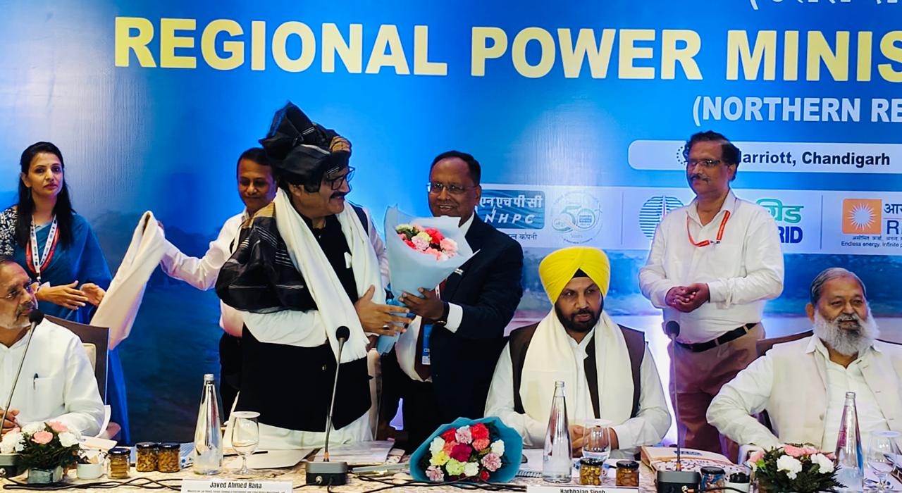 Minister Javed Rana participates in Regional Power Ministers ...