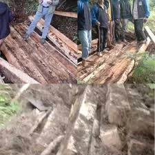 Rising Kashmir - Other - News Image