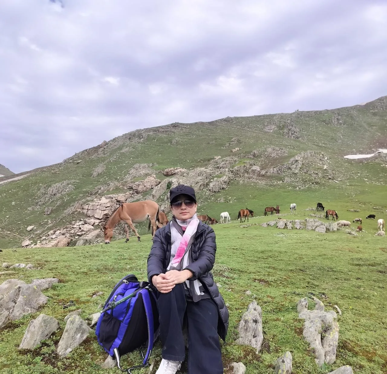 Kashmir scientist makes global impact with Himalayan research