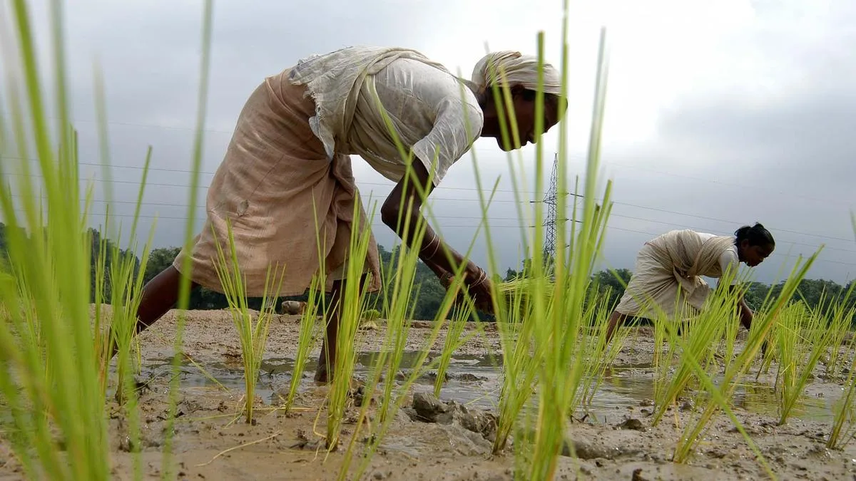 International Year of Woman Farmer 2026: Celebrating Women in Farming