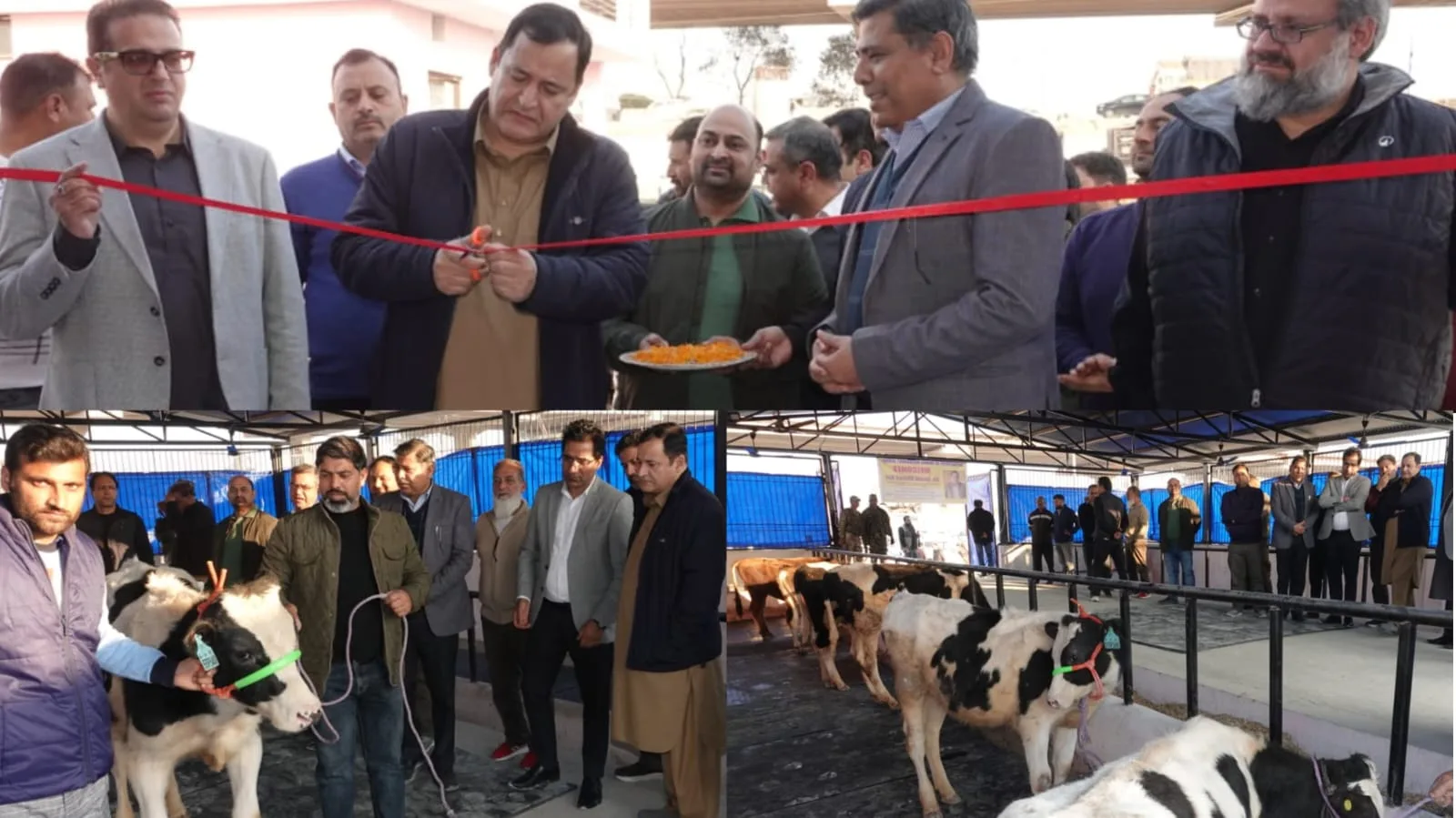 Dairy sector a key engine of agricultural economy: Javid Dar