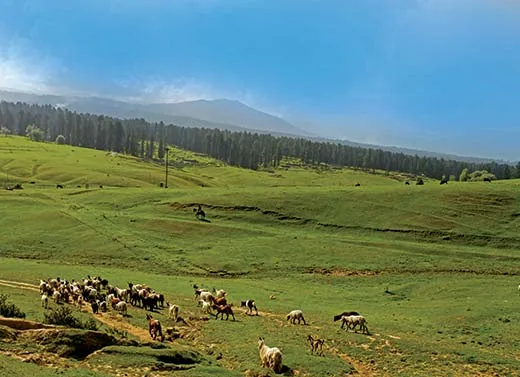 Civil society groups seek compensation, rehabilitation for Tosamaidan victims